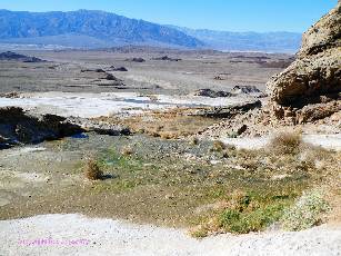 Death-Valley-2020-day4-7  springs  w.jpg (506247 bytes)